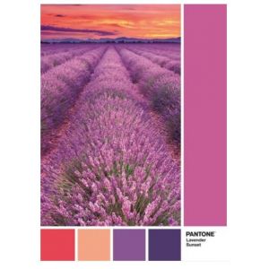 Image de Clementoni PUZZLE Pantone 1000 pièces - Vivid Viola