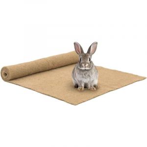 Image de VidaXL Tapis de chanvre pour rongeurs 1x1 m 5 mm