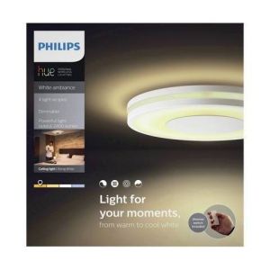 Philips 3261031P7 Being Hue Plafonnier 40W avec Télécommande