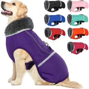 QBLEEV Veste d'hiver pour Chien avec Protection du Ventre - Manteau d'hiver pour Chien avec col roulé - Imperméable - Vêtement pour Petits Chiens - Violet - Taille S