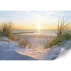 Papier peint photo, Papiers peints pour salon - 250 x 175 cm