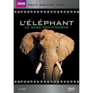 Tout savoir sur : L'Eléphant