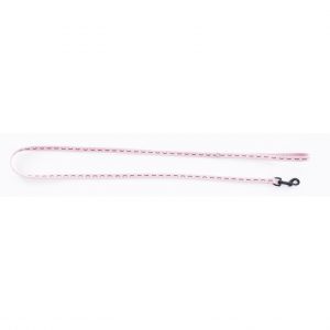 Martin Sellier Laisse pour chien nylon Dodo