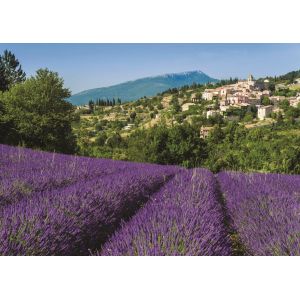 Image de Jumbo Provence 500 pièces