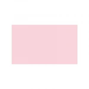Tombow CI-RVP1 Stylo de couleur IROJITEN cameo rose