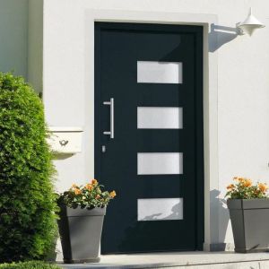 VidaXL Porte d'entrée Aluminium et pvc Anthracite 100x200 cm - Anthracite