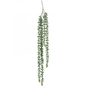 Atmosphera Plante artificielle tombante de senecon - H37 cm - Vert createur d'interieur