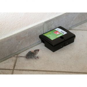 Kerbl Piège à souris PVC BlocBox Peti