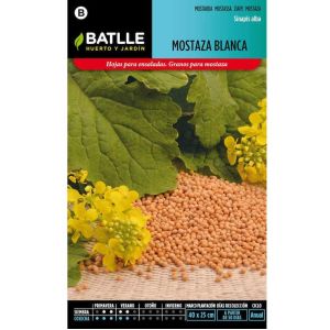 Batlle Graines De Moutarde Blanche