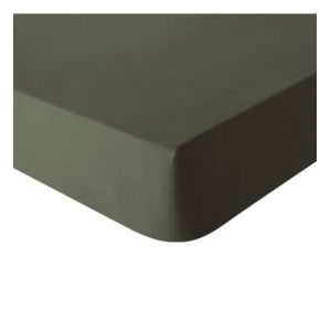 Essix Drap Housse, Coton, Palme, 90x200 cm