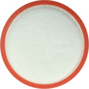 Vhbw Filtre pré-moteur compatible avec Dirt Devil DD2720, DD2720-0, DD2720-1, DD2720-2, DD2720-3 aspirateur - Filtre de protection du moteur