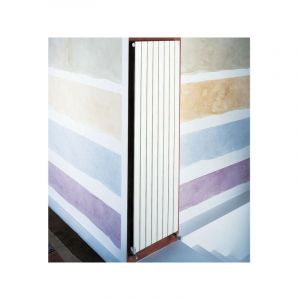 Acova Radiateur eau chaude FASSANE Vertical simple 994W