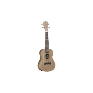 Image de Tanglewood TWT3