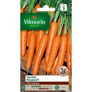 Image de Vilmorin Carotte presto hf1 - Tr&egrave;s productive, elle pr&eacute;sente une racine longue et bien lisse.