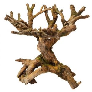 Aqua della Décor Bonsai marron pour aquarium (22 x 19 x 19 cm)