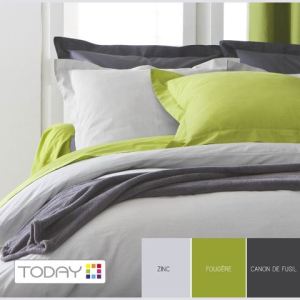 Today Drap plat 100% coton (240 x 300 cm)