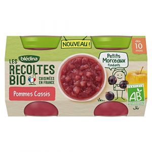 Blédina Dessert Bébé Dès 10 Mois Pommes Cassis Petits Morceaux Bio - Le Lot De 2 Pots De 130g