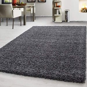 Teppium Tapis à poils longs tapis shaggy moderne monochrome tapis de salon à poils longs [Gris, 160 x 230 cm ] Rectangulaire [710160