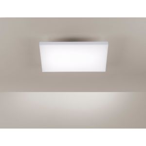 Paul neuhaus Frameless plafonnier RGBW 60x30 cm