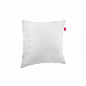 Image de Epeda Oreiller Aloe Vera confort moelleux anti-acariens 65x65 - Blanc