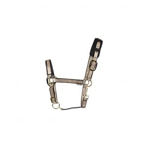 Licol pour cheval Catago