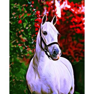 Peinture au num&eacute;ro : Cheval et fond color&eacute; - sans ch&acirc;ssis en bois