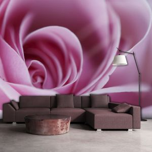 Artgeist Papier peint - Rose rose 200x154