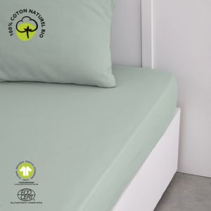 Image de Today Draps housse ORGANIC CELADON Vert - Taille 160x200 cm