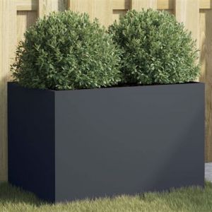 VidaXL Jardinière anthracite 62x40x39 cm acier laminé à froid