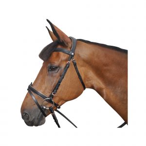 Bridons équitation Canter Rose gold