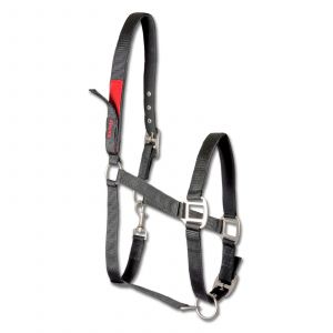 Waldhausen Licol pour cheval en sécurité