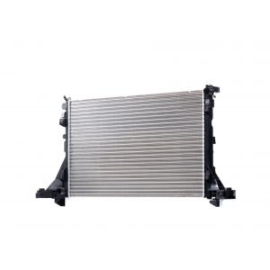 RIDEX Radiateur du moteur OPEL,RENAULT,NISSAN 470R0905 2140000Q2B,2140000Q2D,2140000Q2F 2140000Q4K,214005447R,2141000Q0G,214106091R,214107641R,4406318