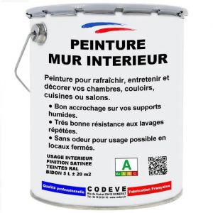 Peinture Mur Interieur - Pot 5 L - Codeve Bois - 1013 - Blanc perle