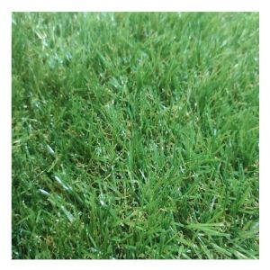 Gazon Synthétique 1X4M 20MM Lisse Duveteux Jardin Extérieur Type Quatre-tons