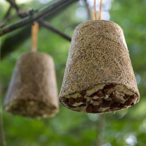 Dobar Boules d'alimentation pour oiseaux 8 pcs