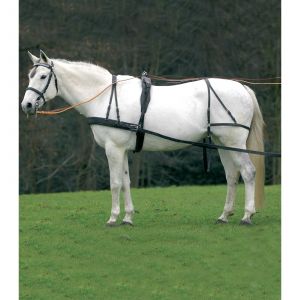 Pad de harnais pour cheval Star
