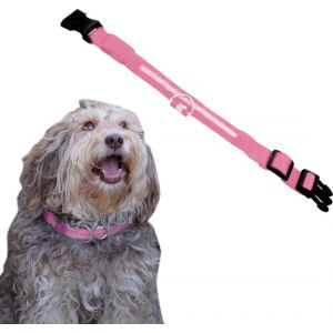 Dutchwide Collier lumineux pour chien - Extra fort - M 37 cm &agrave; 46 cm - Collier pour chien - Collier &agrave; mousqueton - Ajustable - R&eacute;fl&eacute;chissant