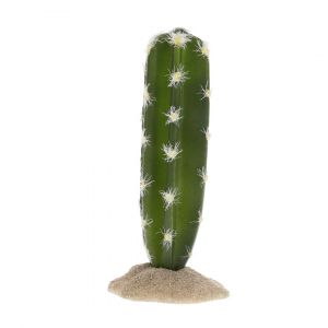 Décoration d’Terrarium cactus cylindrique Terra Della