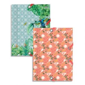 Quo Vadis Chemise 3 rabats à élastiques Jungle/Daisy - en carte - Format 24x32cm - Coloris assortis à motifs