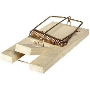 Swissinno Piège à rats 1 590 001 pour l'intérieur/extérieur