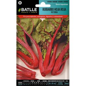 Batlle Rhubarbe Feuille Rouge