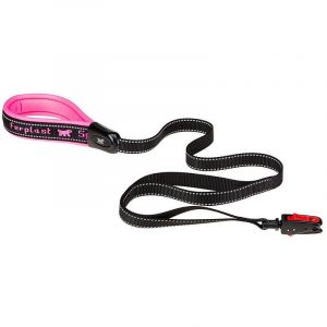 Ferplast Laisse pour chiens en nylon SPORT DOG MATIC G25/120, innovant mousqueton avec mécanisme magnétique, rembourrage souple, coutures réflechissantes, 25 mm x L 120 cm fuschia
