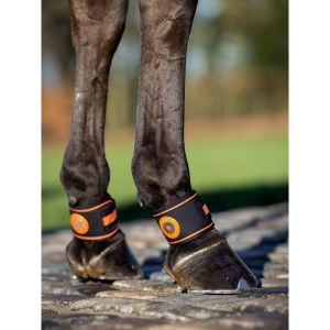 Lemieux Protège-paturon pour cheval Magno