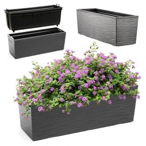 Image de Jardini&egrave;re Kadax Graphite avec Insert 19x56cm