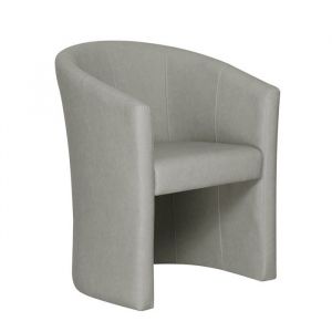 Meublorama - Fauteuil de salon kyoto &ndash; Confortable &ndash; Gris clair &ndash; Style vintage