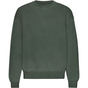 Sweatshirt col rond oversize Colorful Standard Organic Midnight Forest