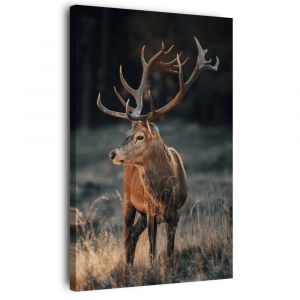 Ceanothe Tableau sur toile cerf sauvage 30x45 cm