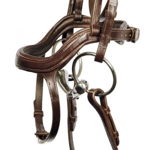 Harry's Horse Bridons équitation pour cheval Anatomic