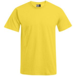 Image de Promodoro T-shirt Basic Hommes, XL, or