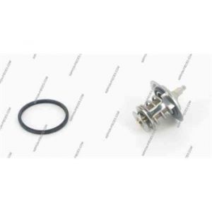 NPS Thermostat T153A24